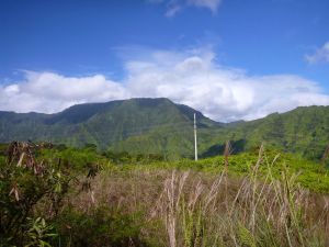 Powerline View North