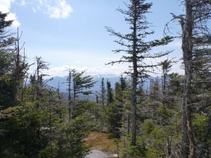 and we turn the corner