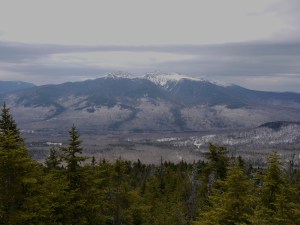 Northern Presidentials