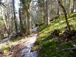 first section of snow