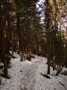 follow the yellow brick road, no I mean the monorail