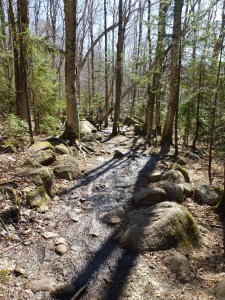 a little mud on the trail