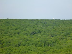 ummm friends, where is my house?