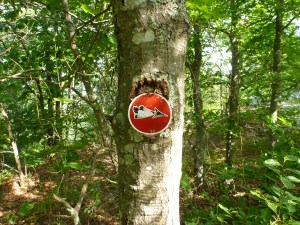 Blazes for the Lantern Hill Trail