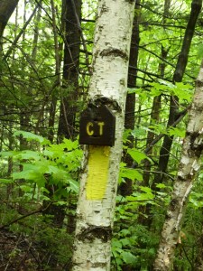 victor head cliff 012