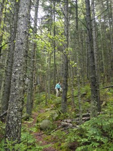 victor head cliff 021