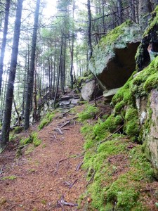 victor head cliff 052