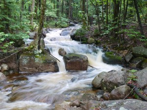victor head cliff 065