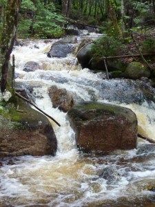 victor head cliff 068