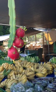 didn't know dragon fruit grew this way 