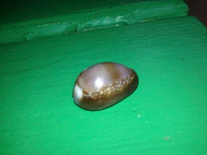 Mike's find of the day