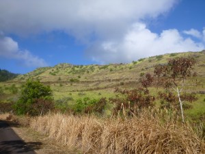 the road continues up there