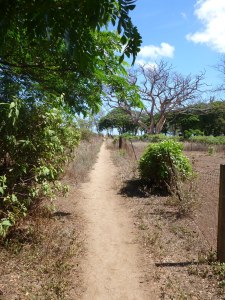 walk down a long path