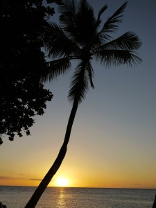 tropical sunset