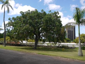 P1230998