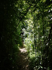 P1240012