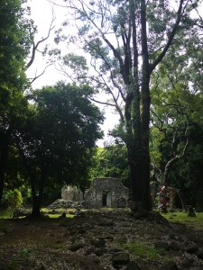 P1240039