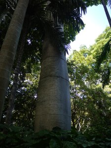P1240041