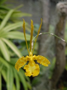 P1240060