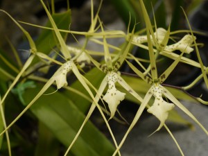 P1240066