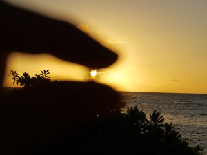 umm mike why are your fingers in the photo? I'm trying to squeeze another day out for us. True Love