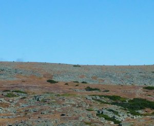 P1020316 - Version 2