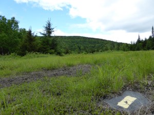 Follow the yellow brick road, no the yellow marked rocks