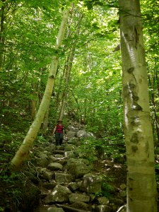 Last steep section to go and look I'm smiling.