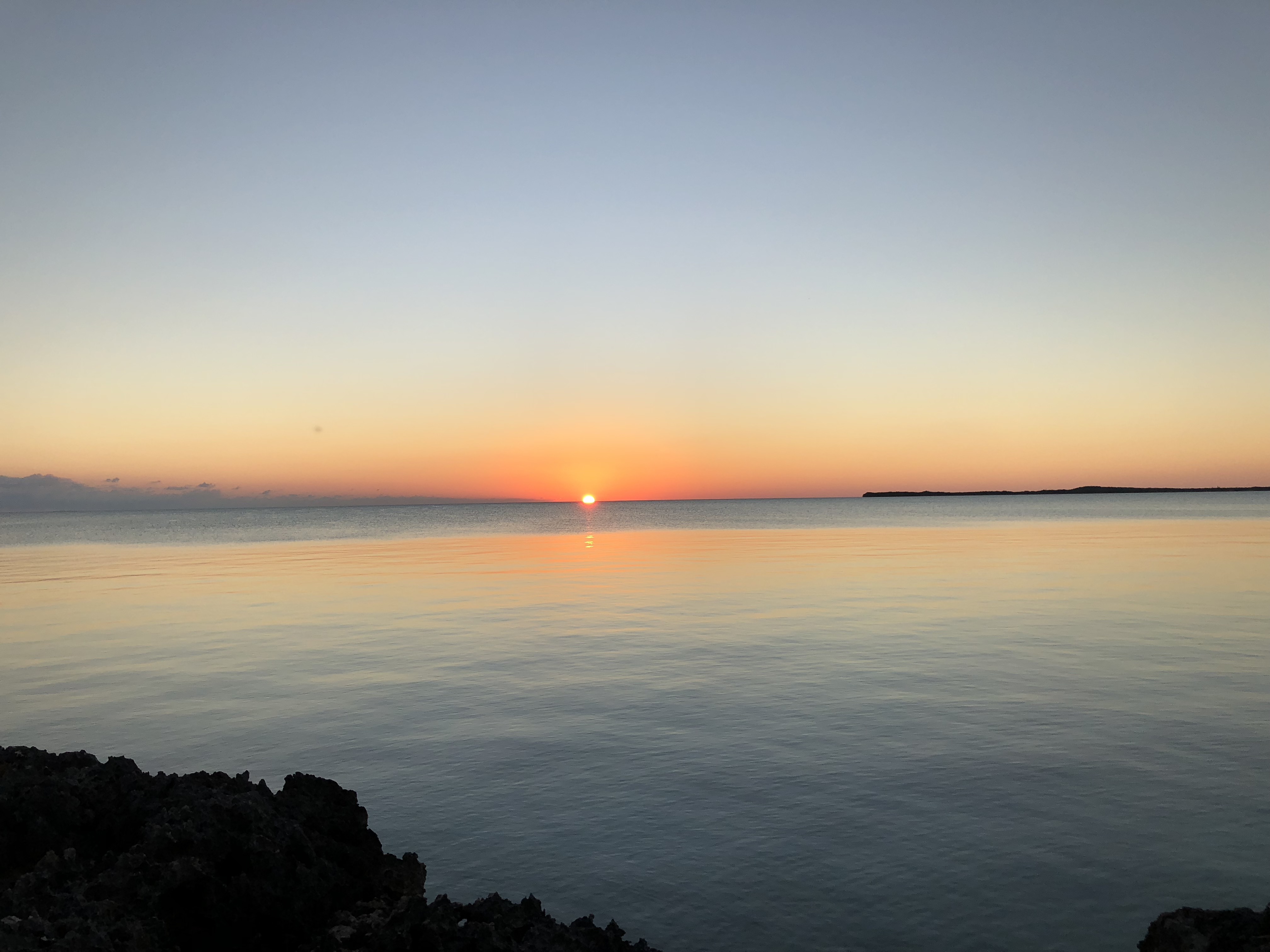 6rCOVxcmQv62k1%1qMJzTw