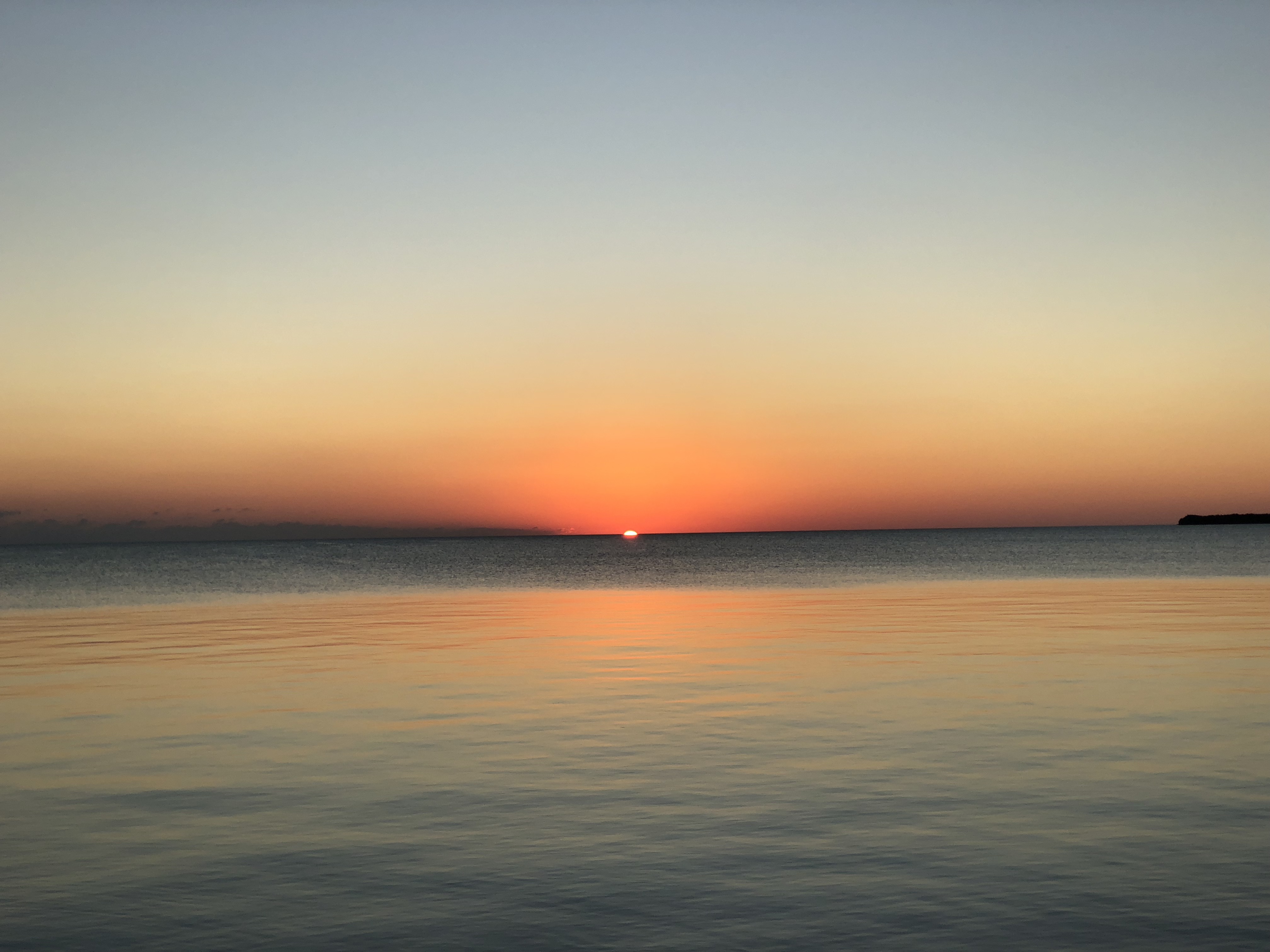 qd3houogT8W1FOth+Se1LQ