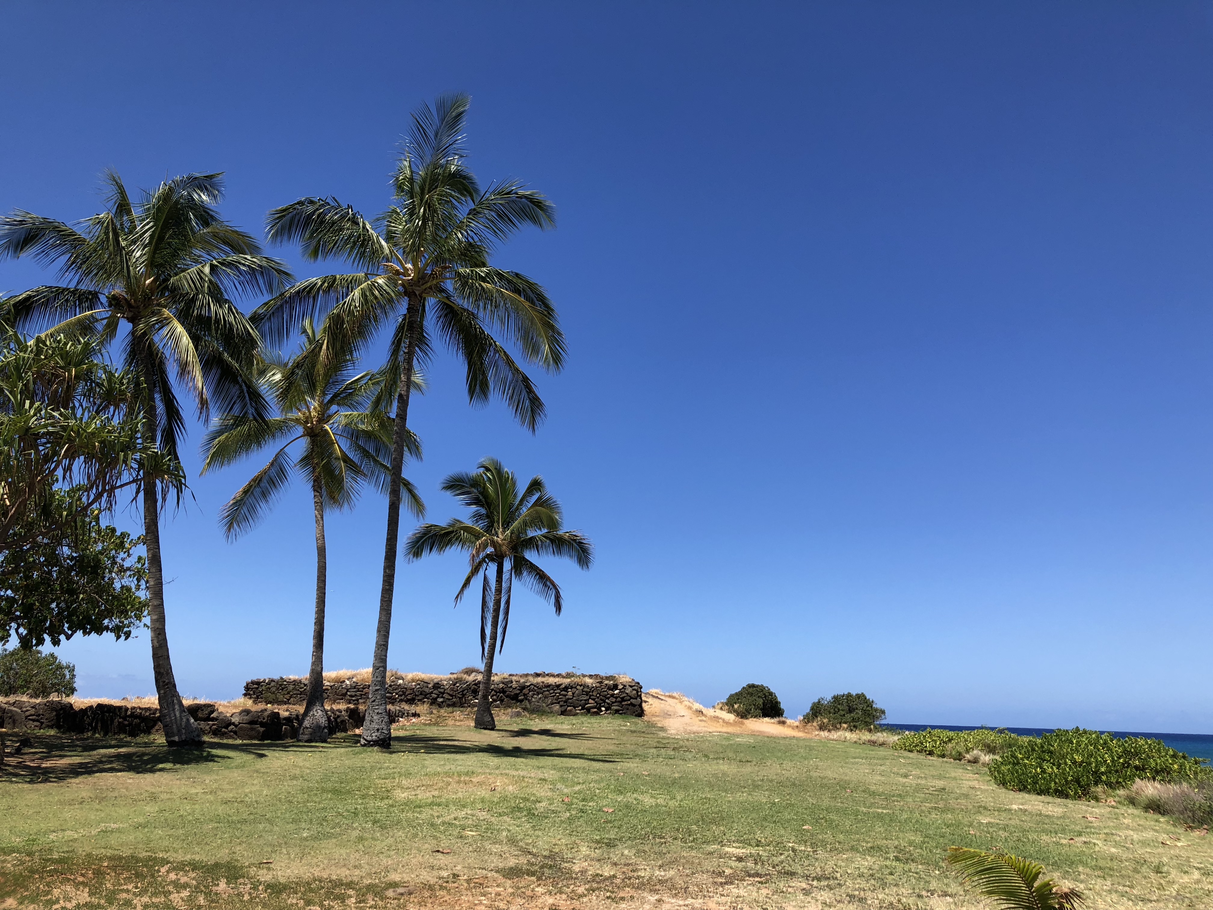 Vd7AzUCQQ9qzcv929OM7hQ