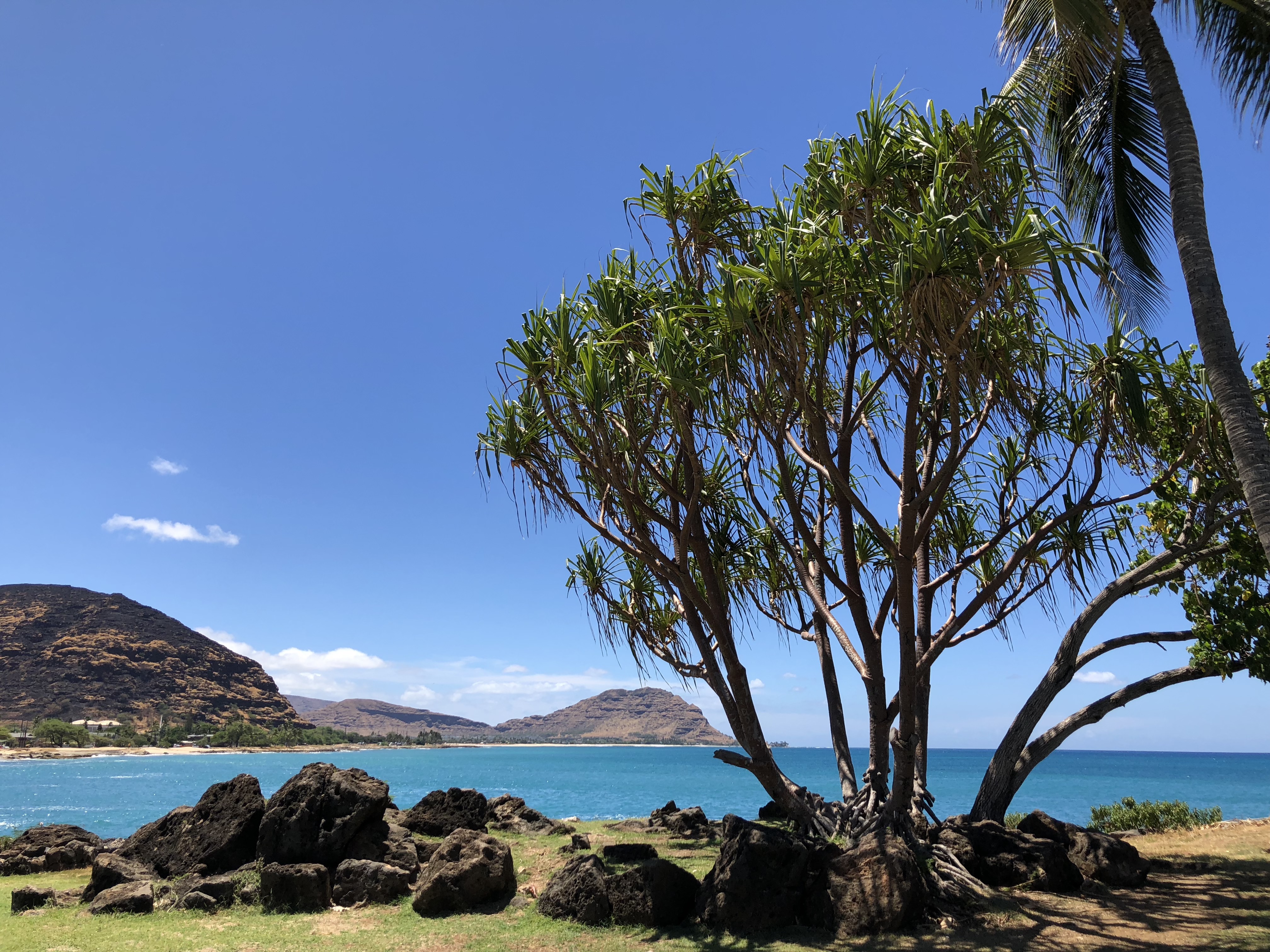 INIeOwH1TaafmWDZd6CmQg