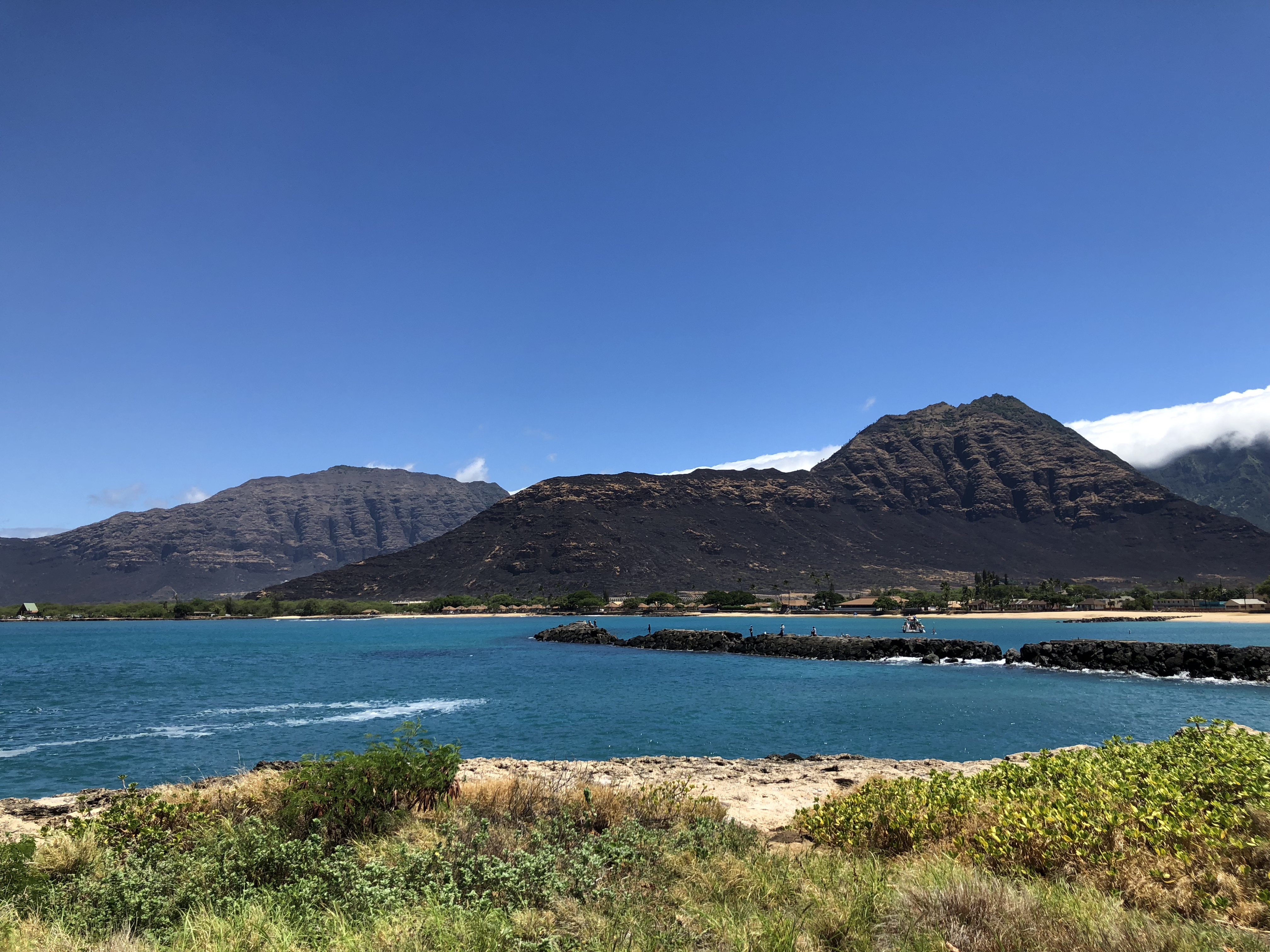 wDHBqeUmTJ+Kh0Q687dlNQ