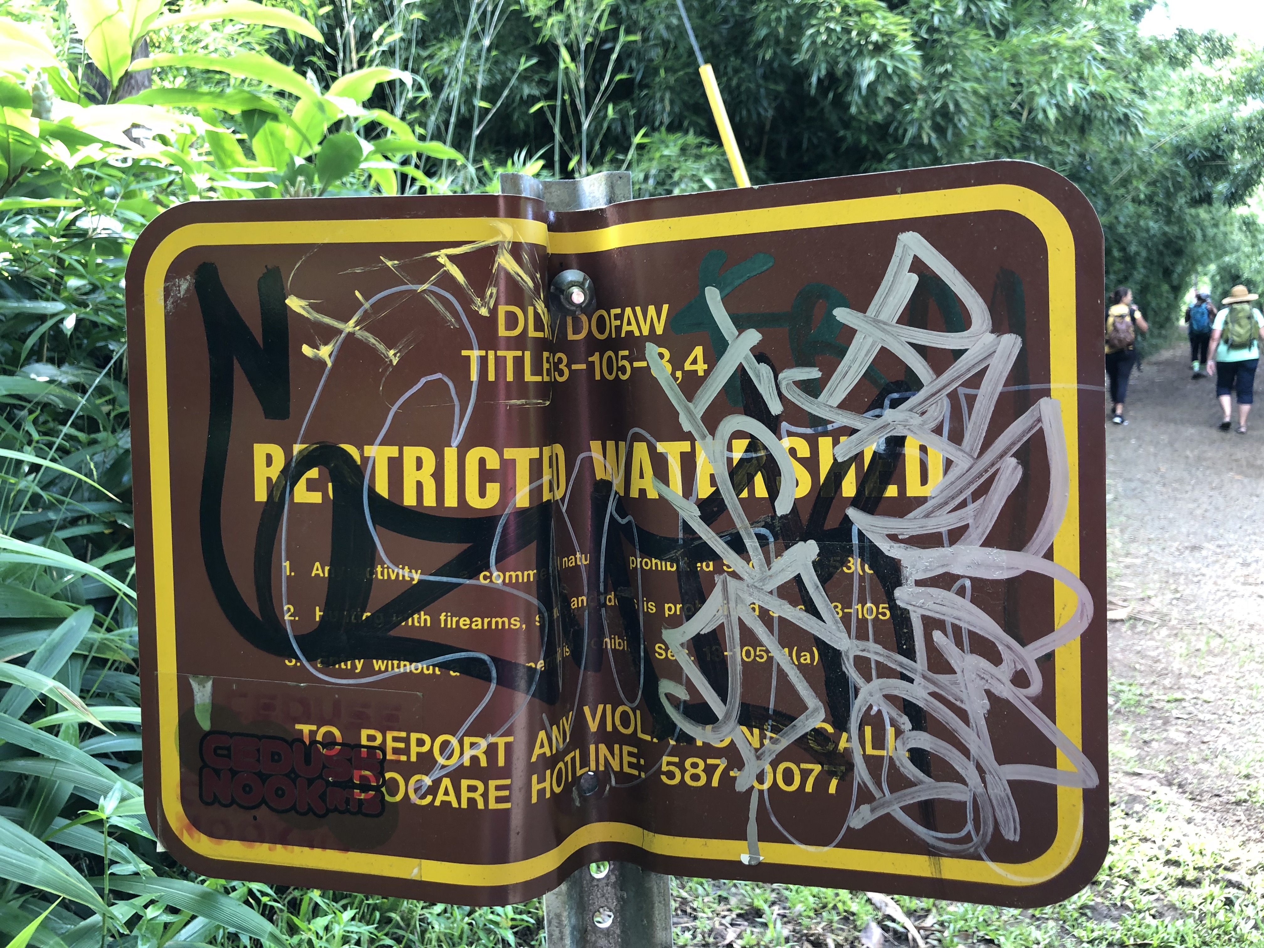 CB0224j+Rlqq4j7xHUubIA