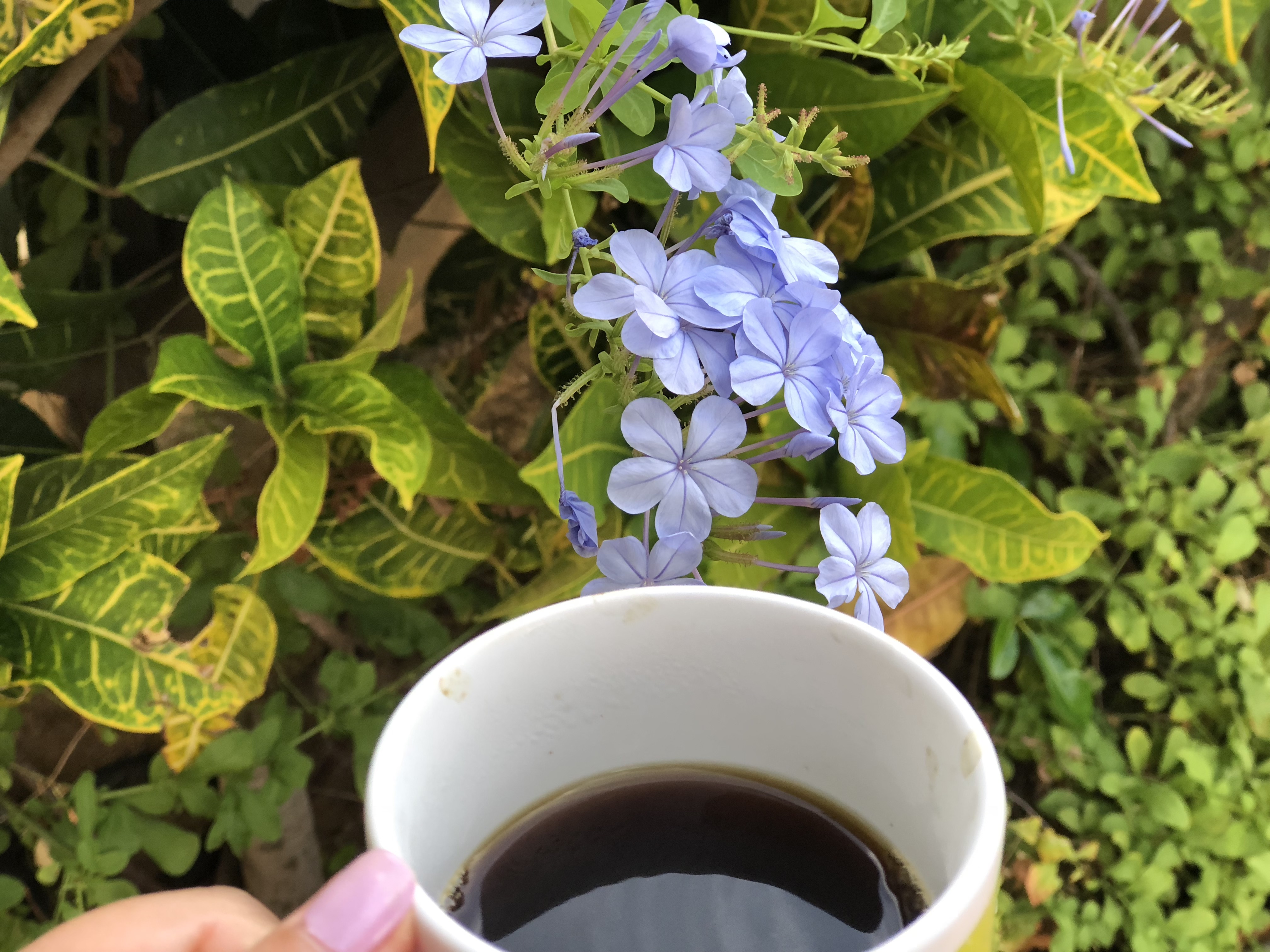 ZknGa+ZfREe3DNYKDzBfOg