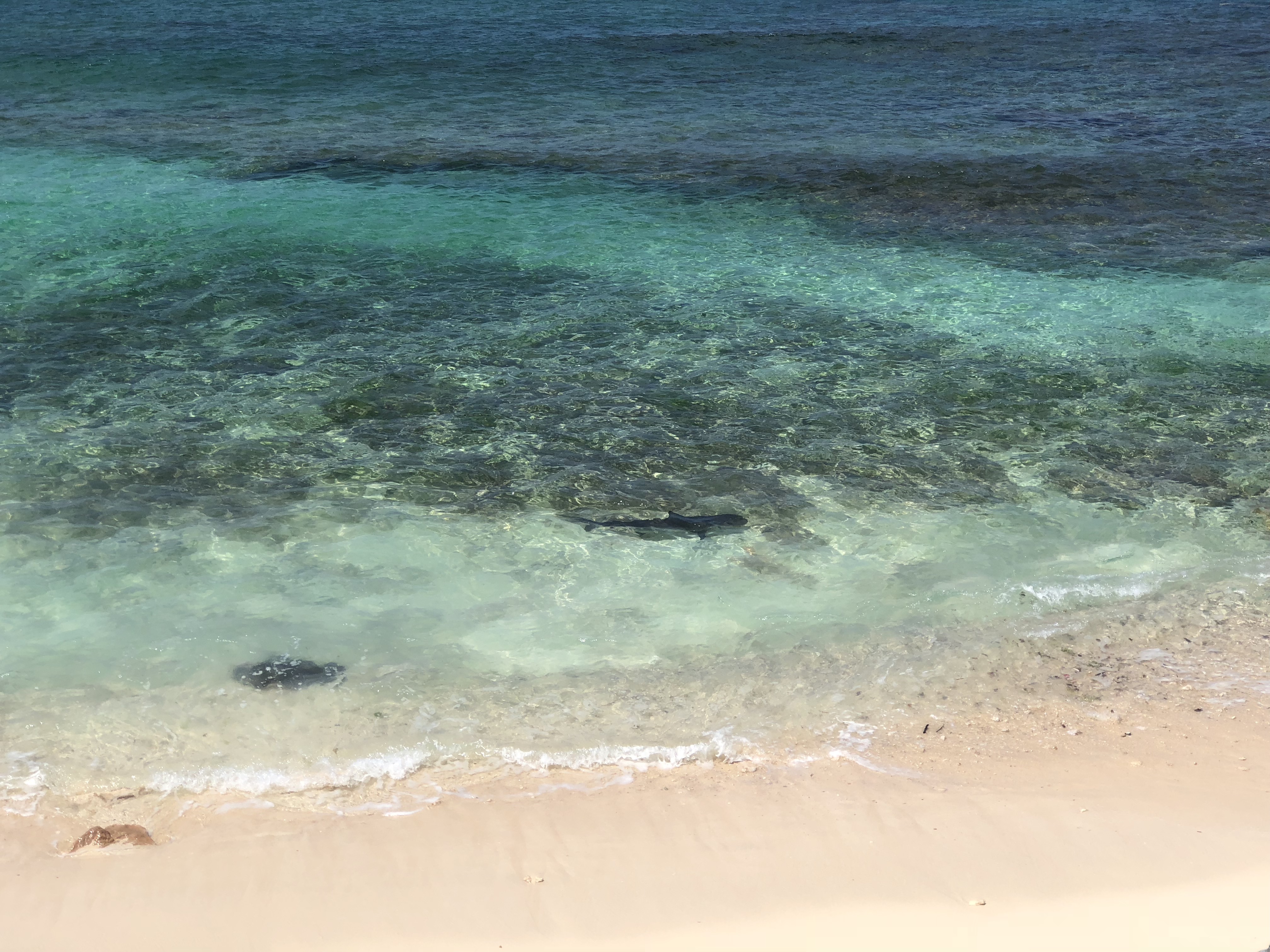 3Qq1E8LCQyuQ5uY3whUeAA