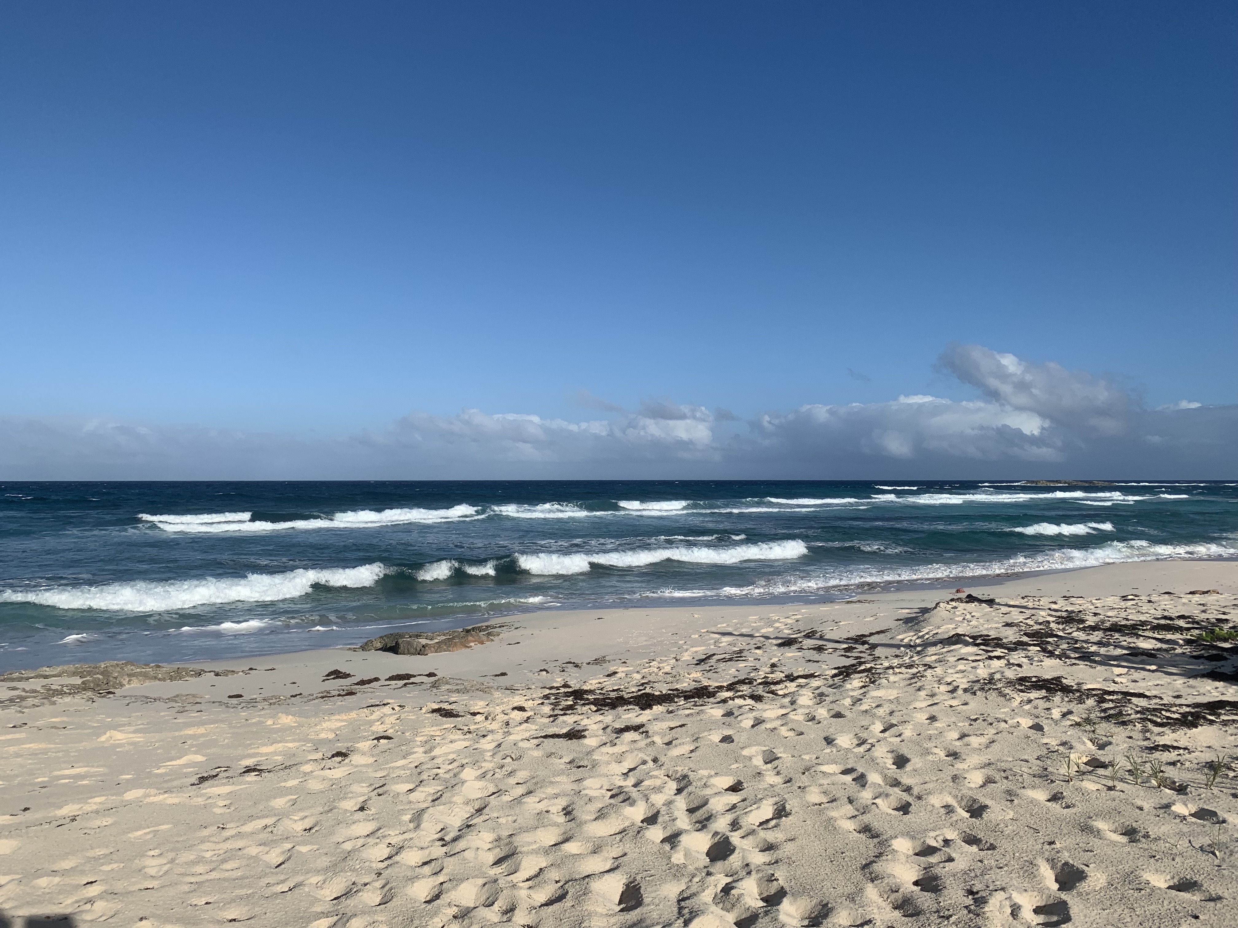 xJFDjdQnQbuELIu9WMqX7A