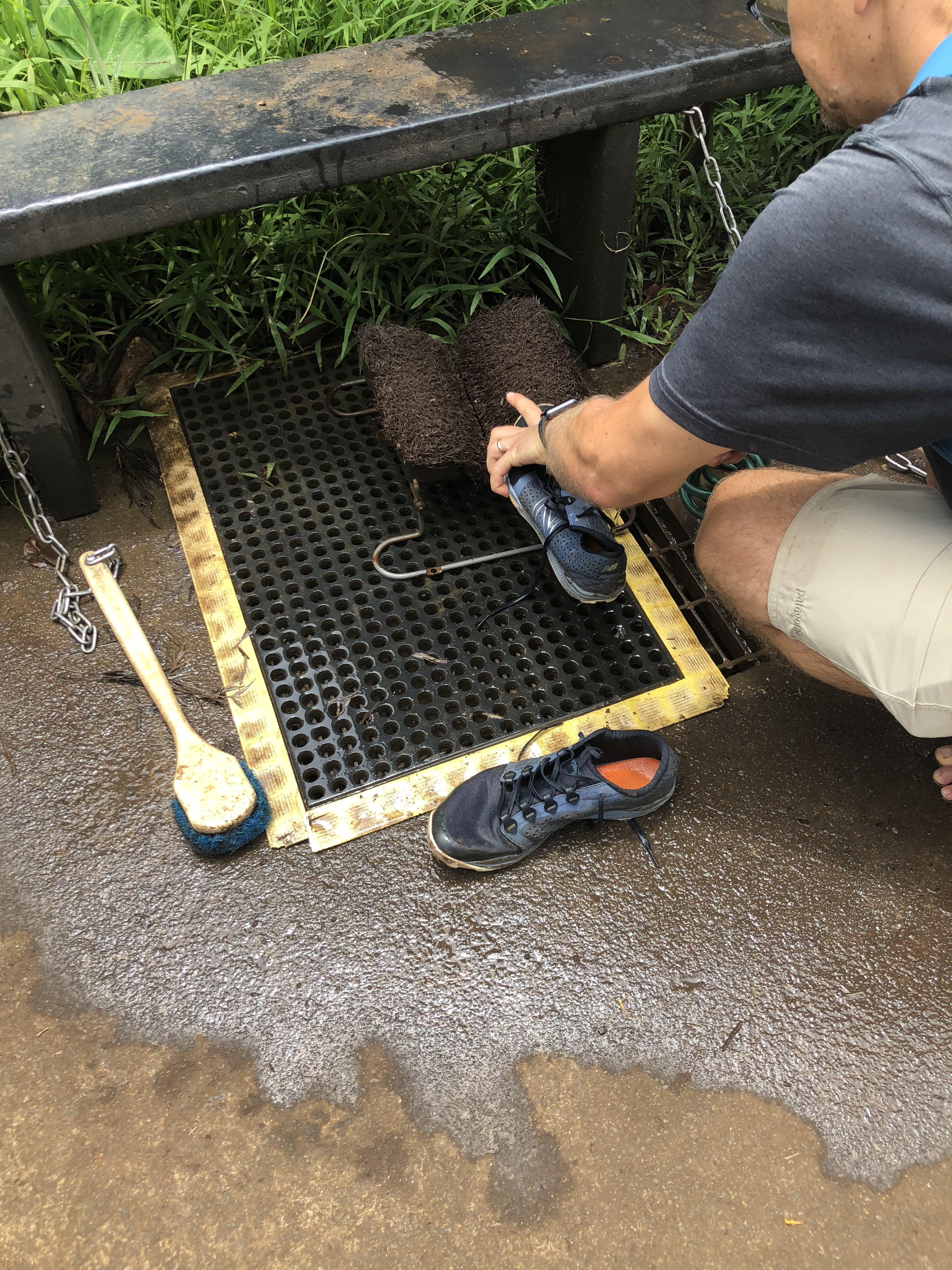 pdmYC+XDTdWuTDKiDyZMpg