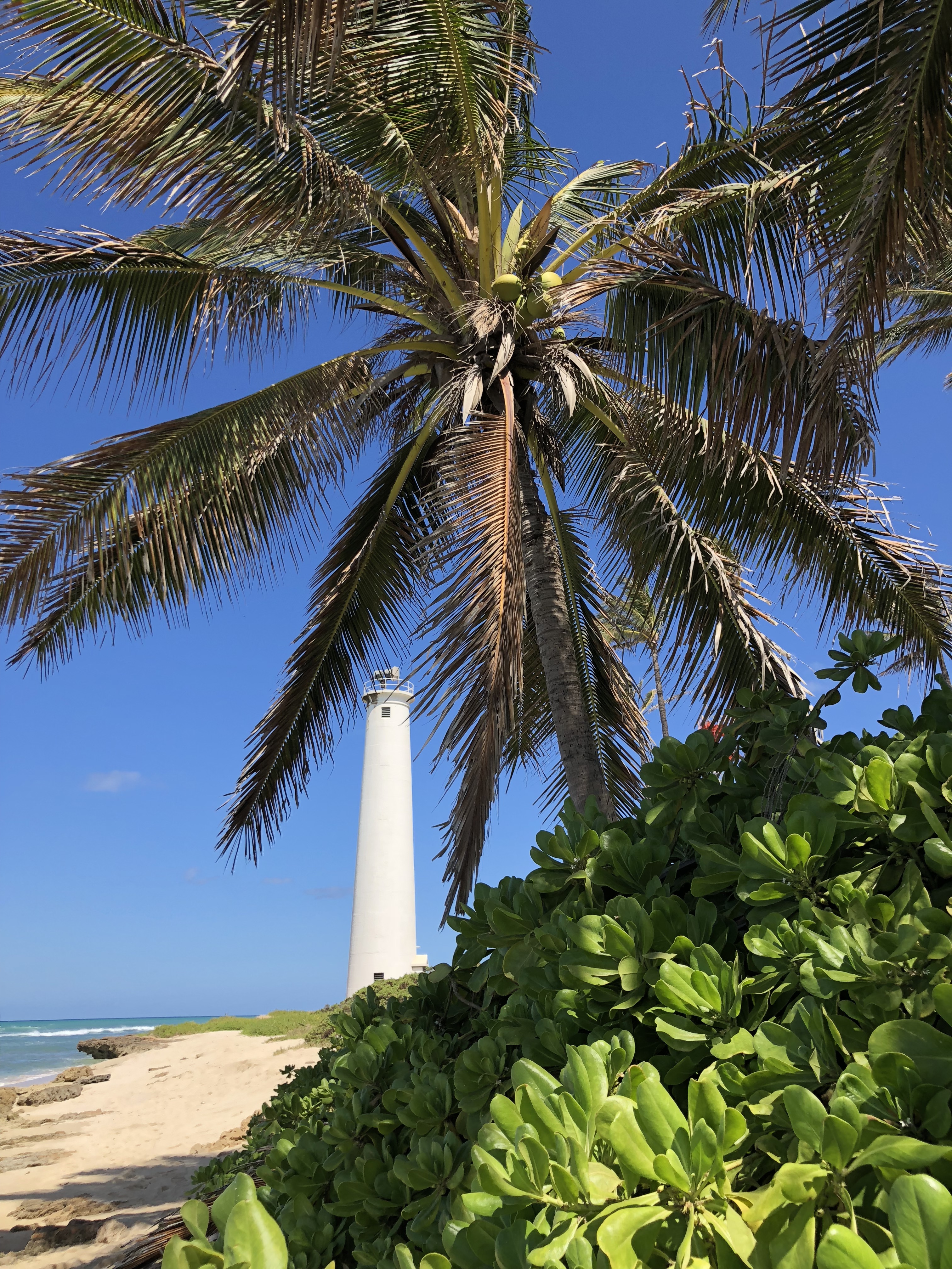 CjKoMJKSSq+jyYx182qalw