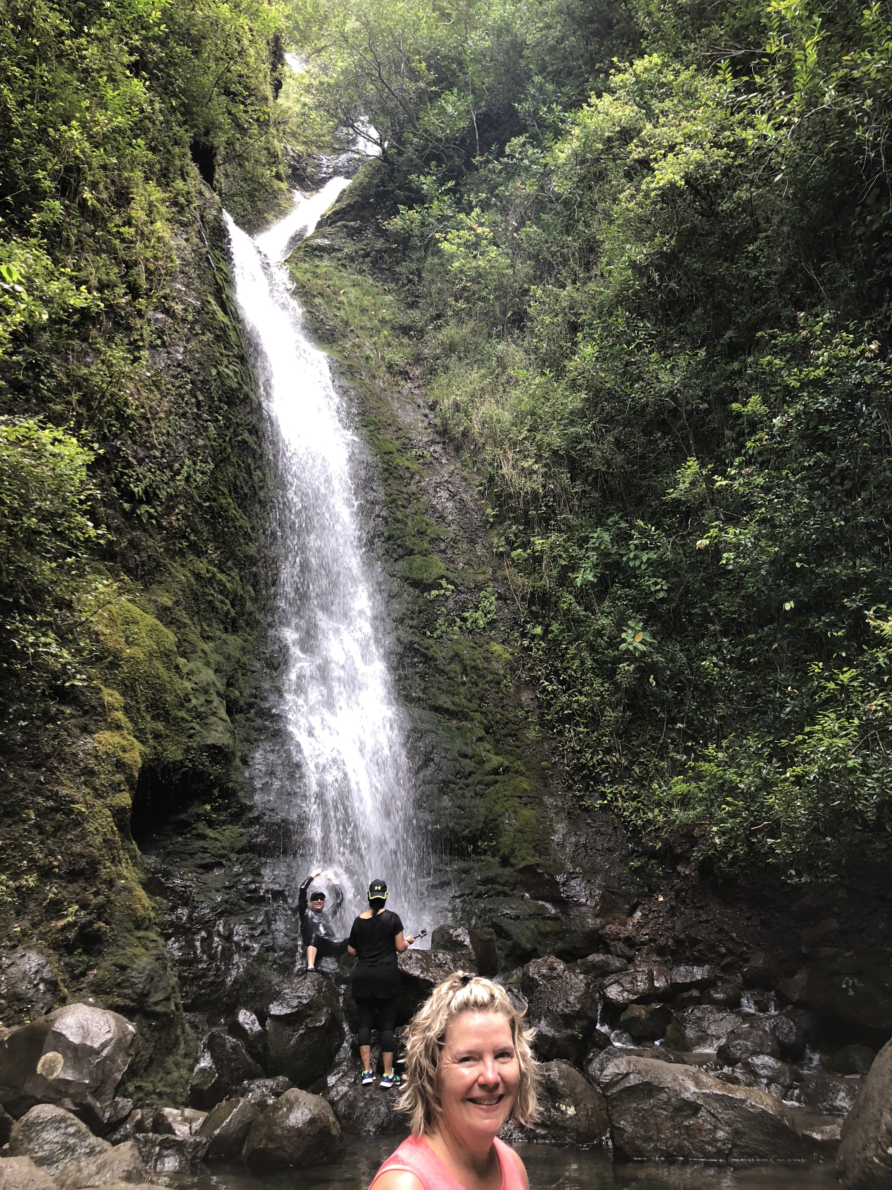 t3%8LmiSQZWsde1neVL2Sg