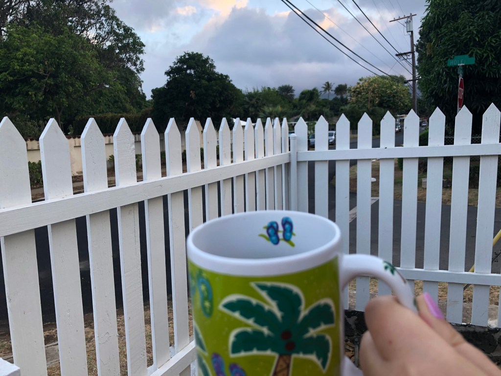 a+K+y5L8Qq6R6qkPZai22w