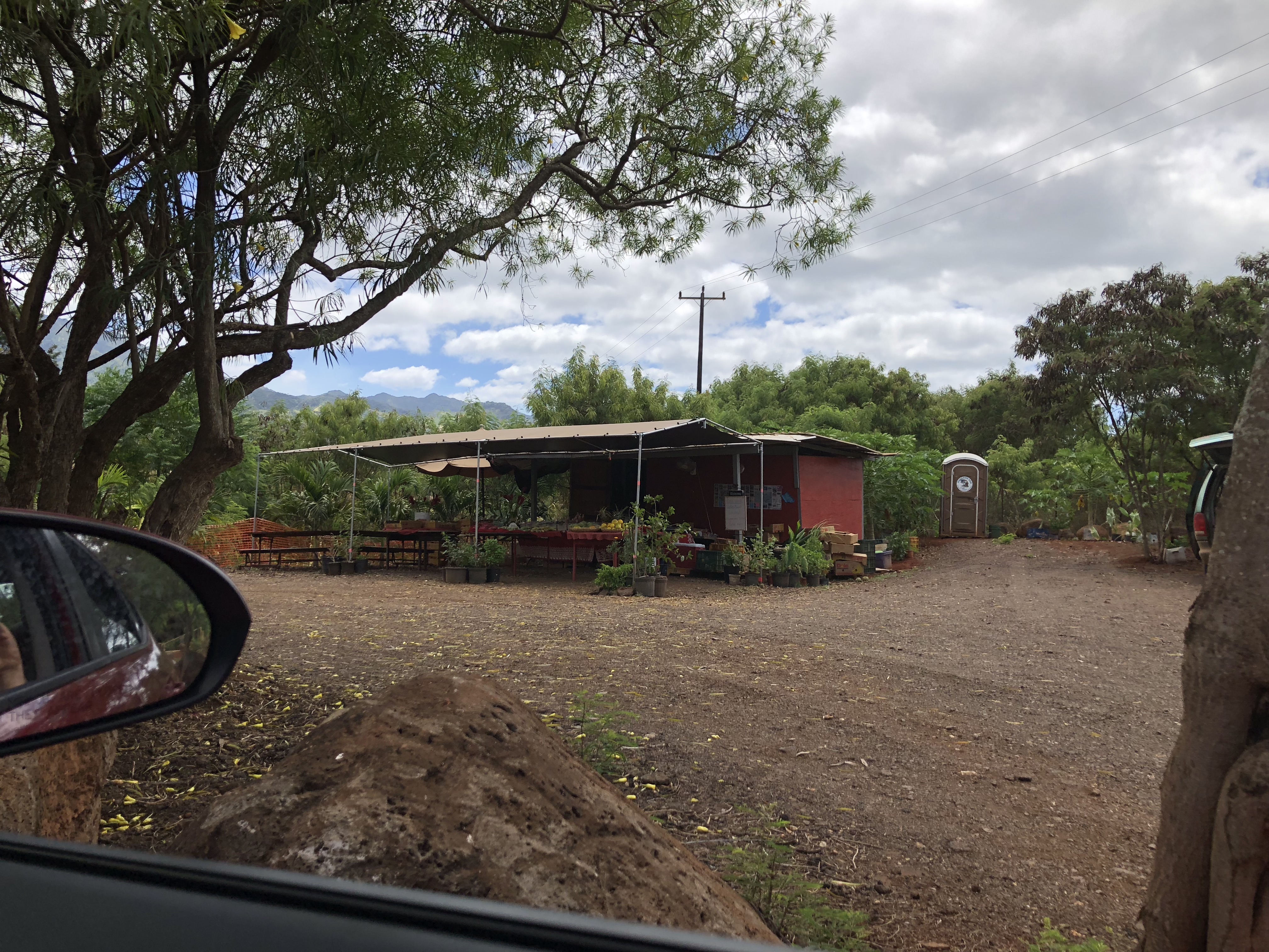 jkj3eil6ScmJ00ZBKRJojw