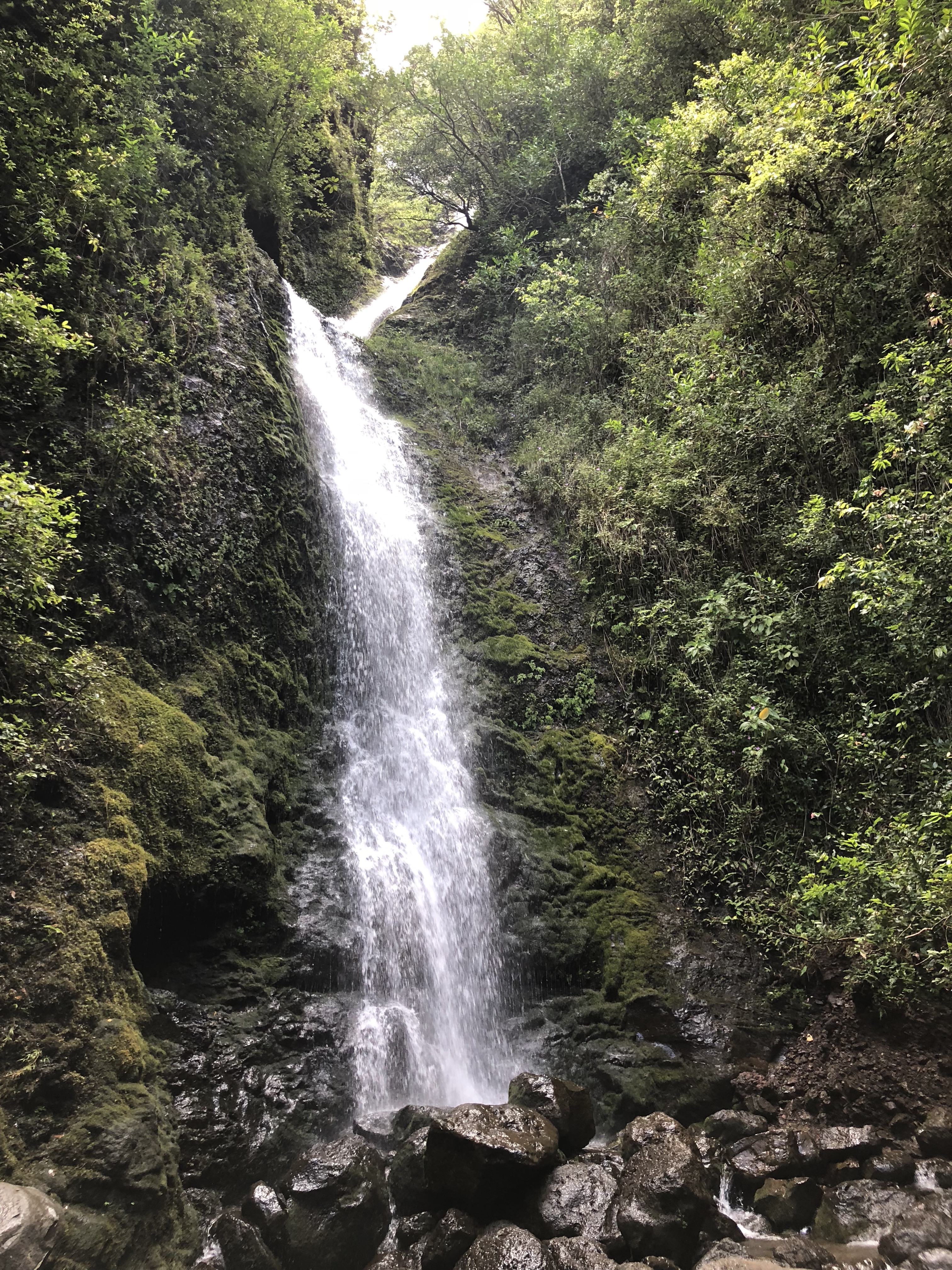 uOYGCFHZTIGafAqlh2Vupg