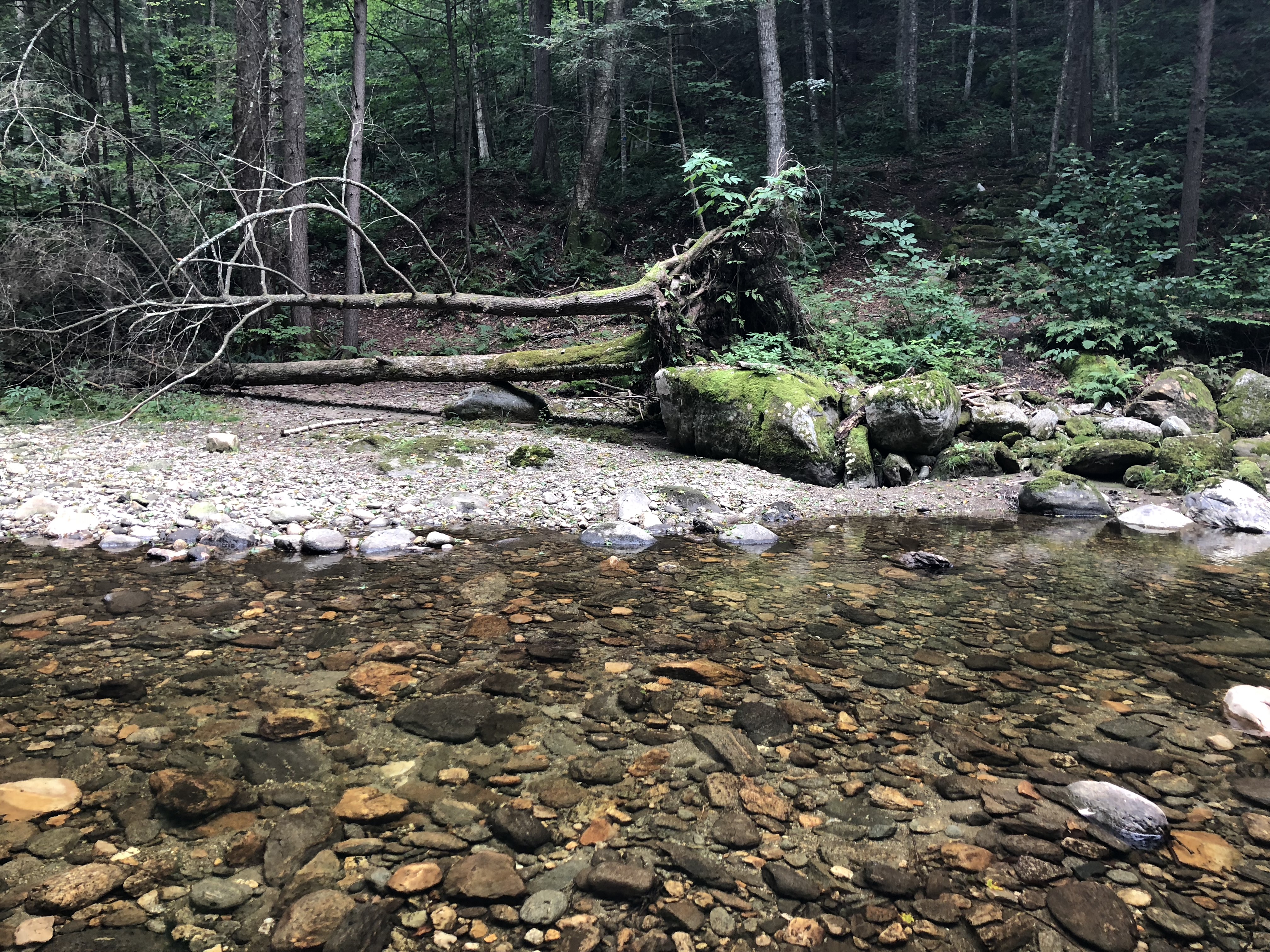 ZmAQ39YWTG26ooF7J0YqAw