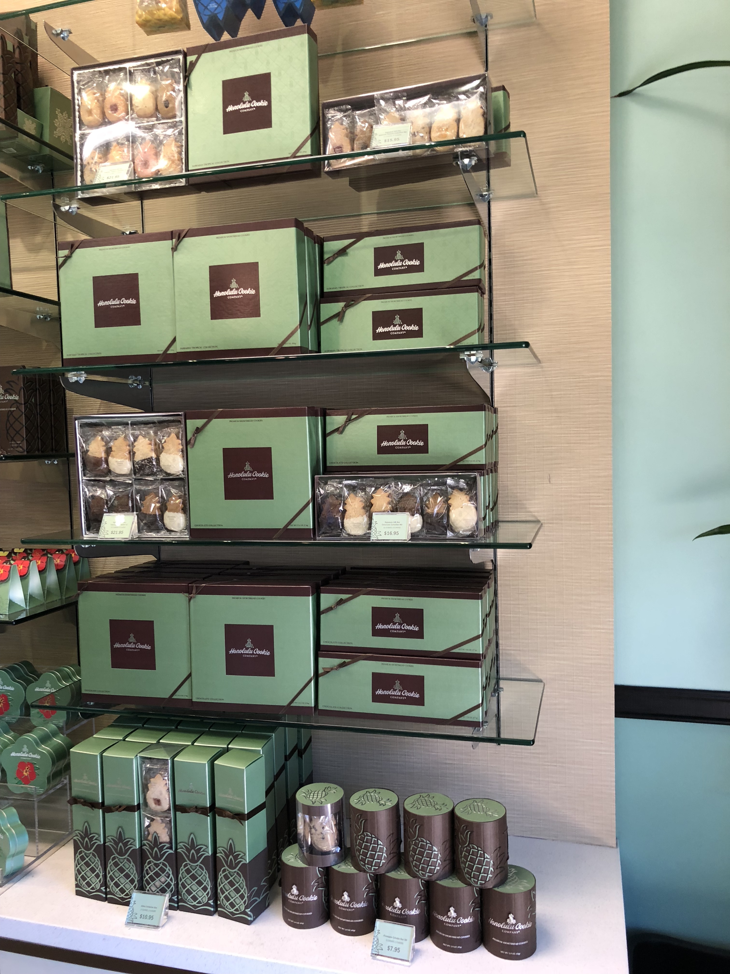 ynEuEi%cTWWNucRe1t8fQw