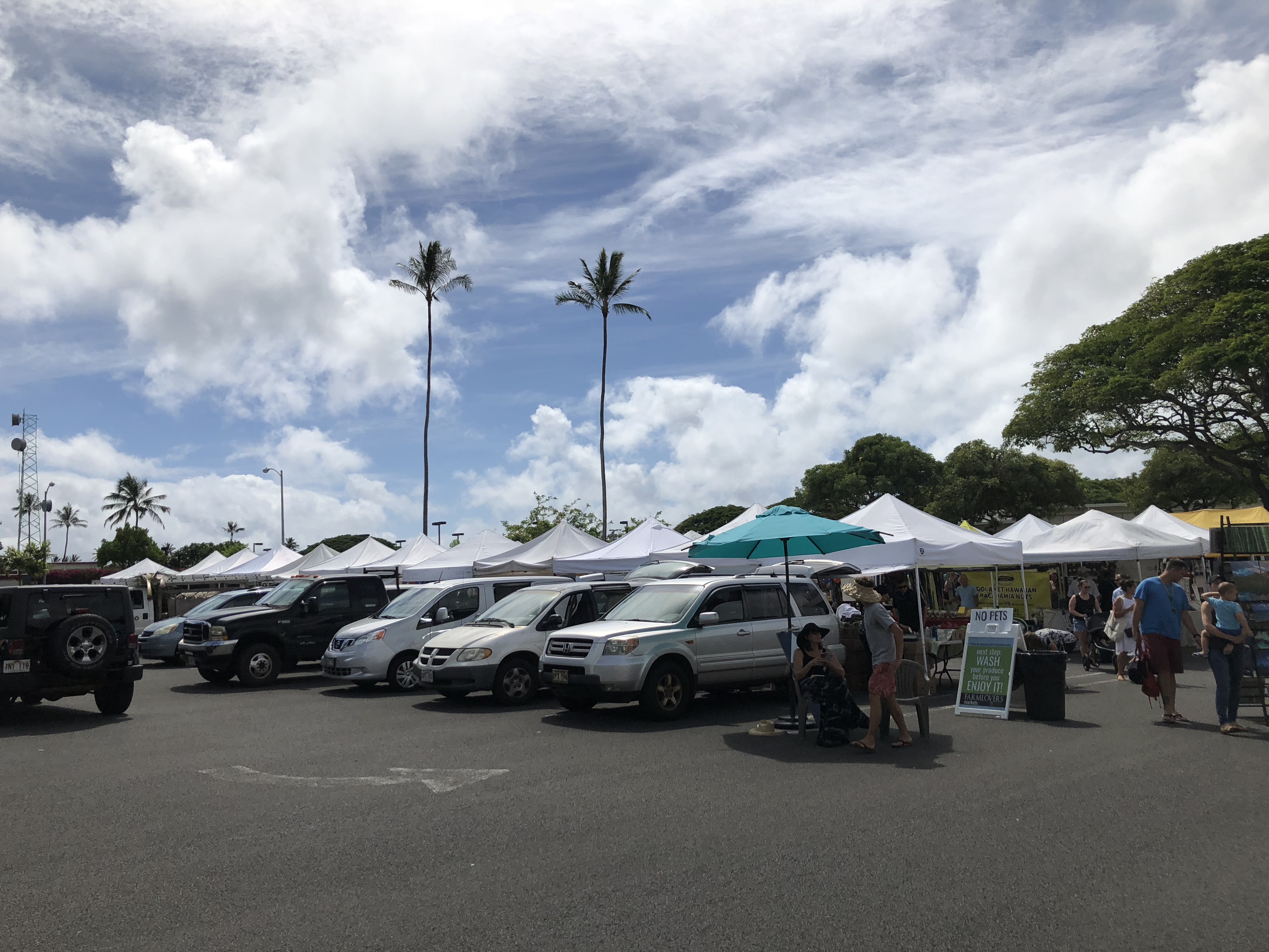 vtqh8vptSU+S5S0GJoXbxQ