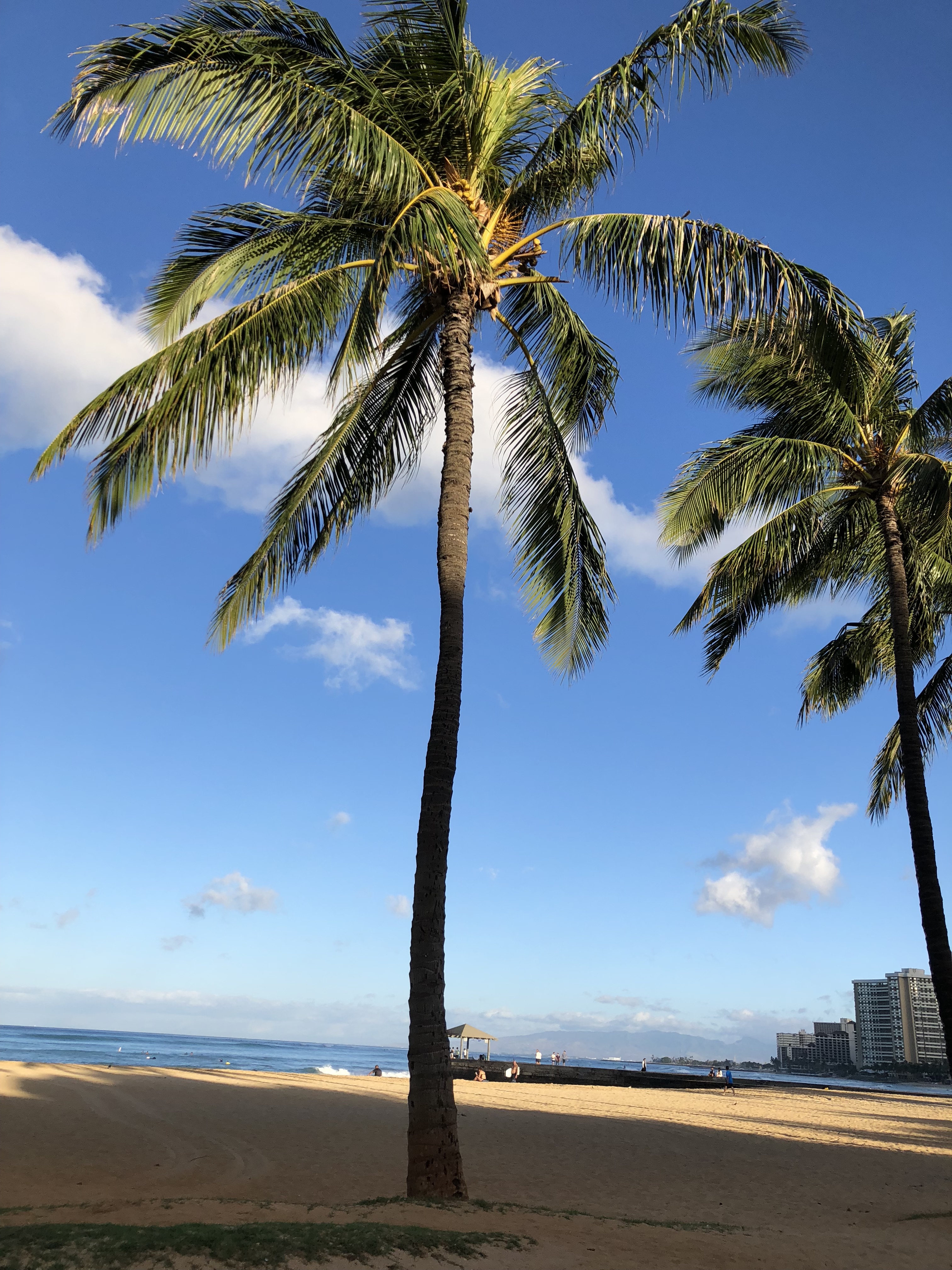 kMCxdWwwSOWtALxA5HWi3Q