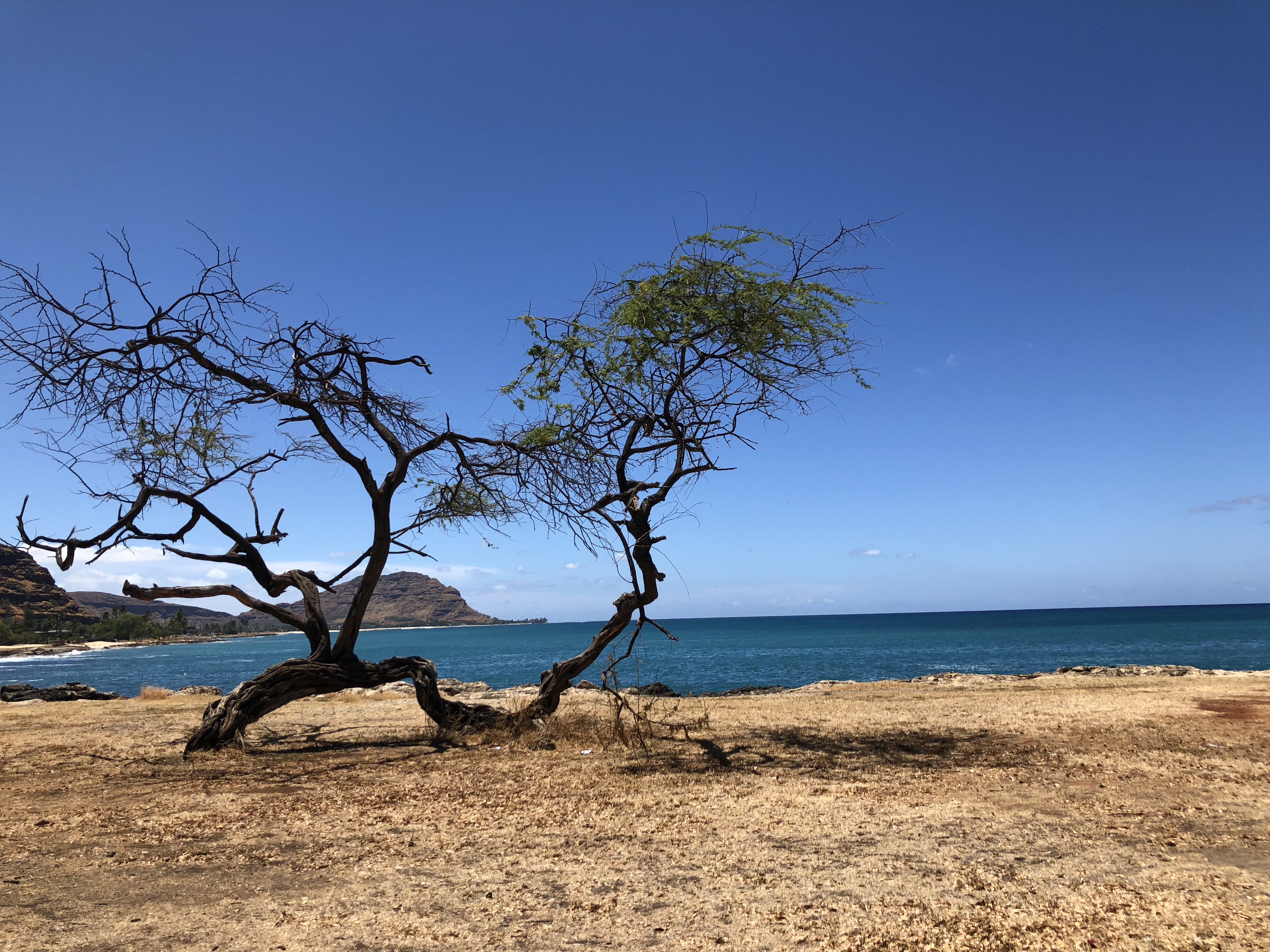 VP2OCucfTSm8+K0pJKLvOw